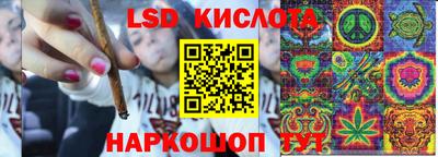 прущий лед Будённовск
