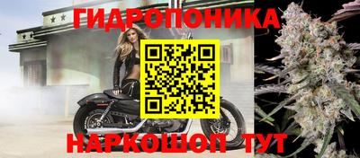 прущий лед Будённовск