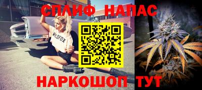 прущий лед Будённовск