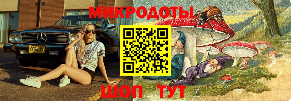 Псилоцибиновые грибы Psilocybine cubensis  Псилоцибиновые грибы мухоморы  Вход с VPN  Чехов 